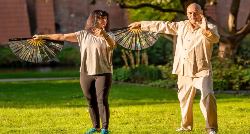 Tai Chi Fan